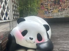 -轩客会(熊猫书店)
