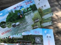 -大湾区中央湿地公园