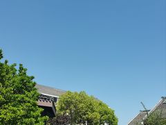 -梁鸿湿地丽笙度假酒店大堂吧