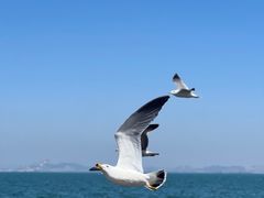 -大连海昌东方水城
