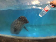 -锦艺城海洋馆