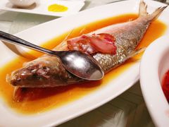 酒糟鲥鱼-走马楼饭庄(慈城古县城店)