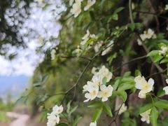 -金堂县云顶石城风景区