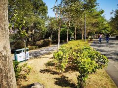 -飞来湖湿地公园
