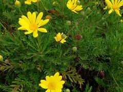 -昆山城市生态森林公园