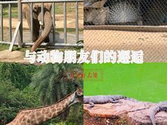 -南昌动物园