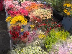 -循礼门鲜花花市(武汉循礼门店)