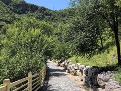 -百里山水画廊乌龙峡谷