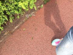 -南关北海公园