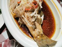 清蒸鲈鱼-邓丽君音乐主题餐厅