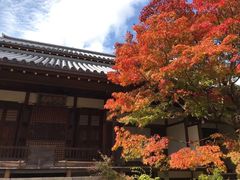 -常寂光寺