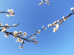 -广州市流溪河国家森林公园