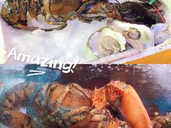 -东记炭炉·海鲜鸡煲(龙华店)