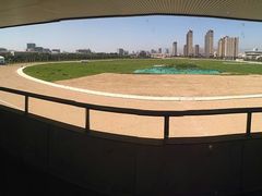 -蒙古大营·蒙古演绎餐厅(赛马场店)