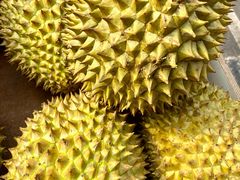 -天河客运站(地铁站)