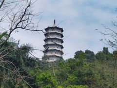 -深圳国际园林花卉博览园