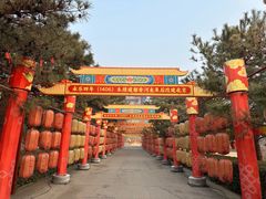 -大明幻境第一城