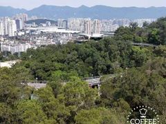 -金鸡山公园