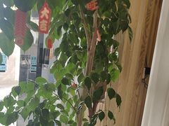 -麦悠悠·SPA·推拿(沈杜公路地铁站店)