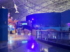-烟台海昌鲸鲨海洋公园