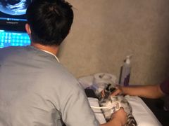 -宠爱国际动物医院·消化内科·心肾内科·ISFM猫友好(望京店)
