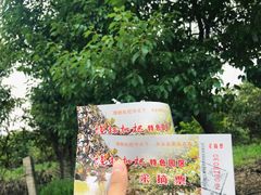 -塘栖枇杷特色园区