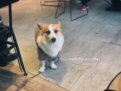 大堂-奎克咖啡Cuiqu(晶品店)