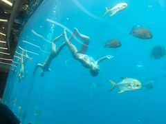 -瑞德姆美人鱼海底演艺主题餐厅(亚龙湾店)