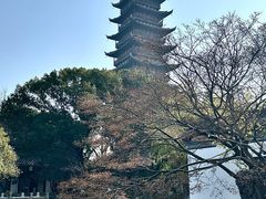 -常熟方塔园