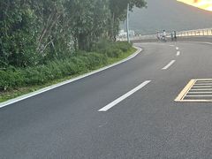 -杨梅坑