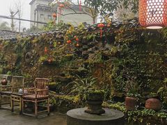 -青城甲(青城山店)