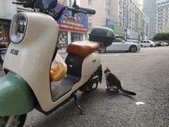 -绿源电动车(普陀专卖店)