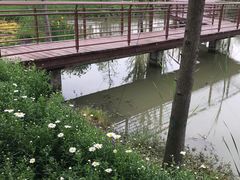 -同里国家湿地公园