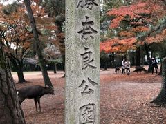 -奈良公园