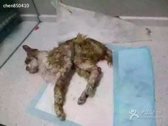 盛京一禾-盛京一禾