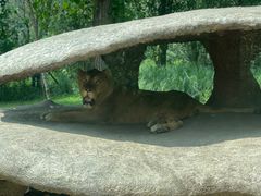 -北京野生动物园