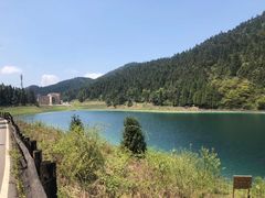 -武陵山森林公园