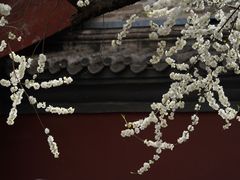 -雍和宫(地铁站)