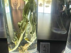 -广东中医药博物馆