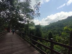 -野象谷景区