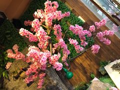 -恋羊时代黑山羊火锅(滨海大道店)