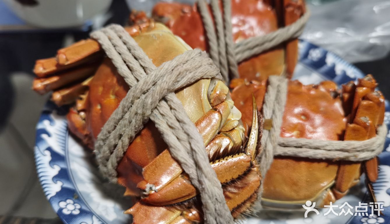 密箱逃脱者