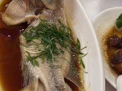 清蒸花雕鱼-帝源轩酒楼(卡瑞登店)