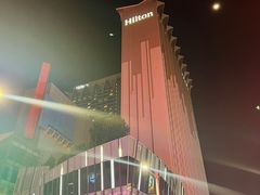 -新加坡乌节希尔顿酒店 (SG Clean)
