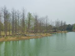 -梁鸿国家湿地公园