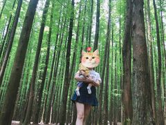 -山王坪喀斯特国家生态公园