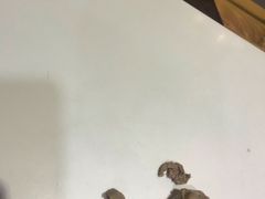 -陈记顺和潮汕鲜牛肉火锅(棠德南路店)