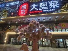 -盛京大奥莱(沈阳奥体店)