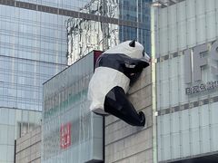 -盐与味葱葱鲫鱼•自贡菜江湖菜(春熙店)