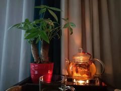 -新盈光·旗舰店(海曙苍松路店)